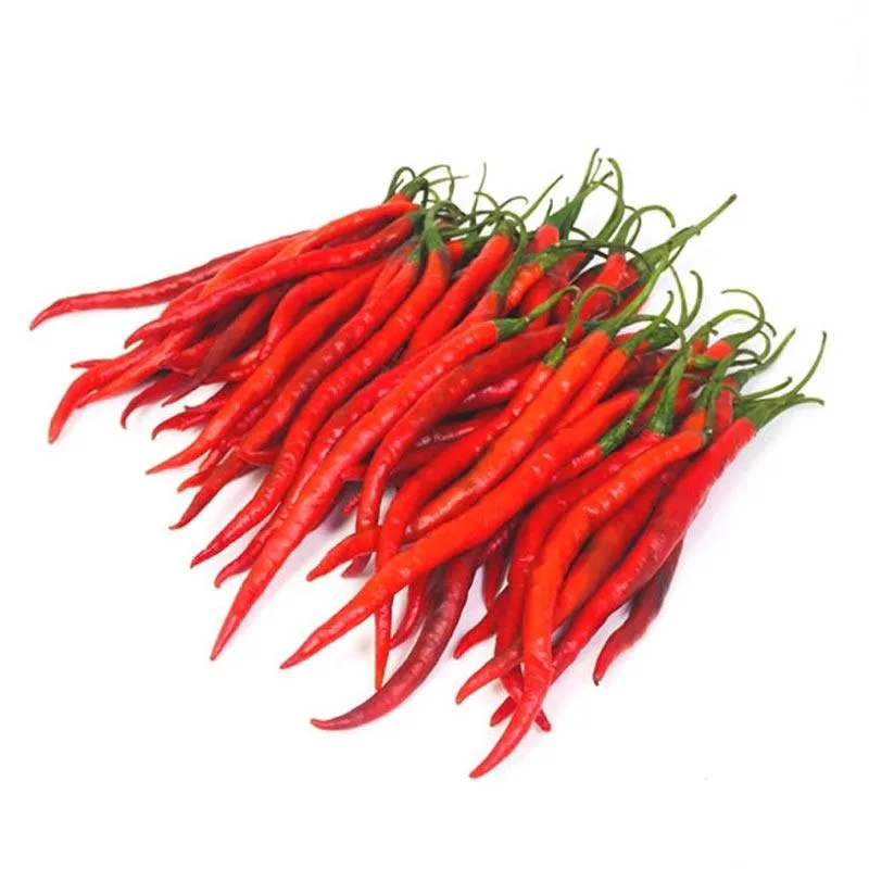 

CABE KERITING FRESH