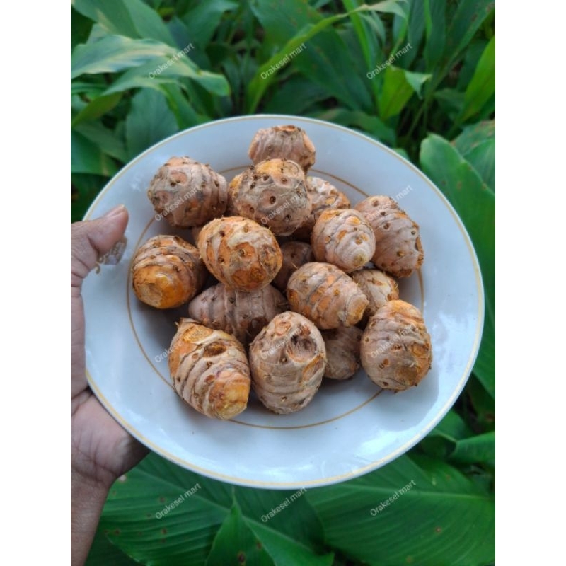 

Empu Kunyit fresh 1kg