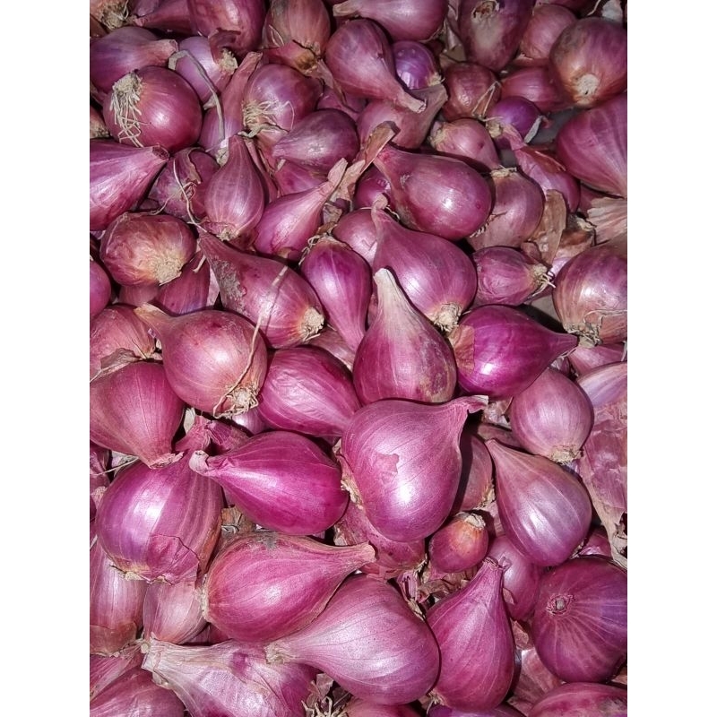 

Bawang Merah Murah/Bawang Merah kering/Bawang Merah Berkualitas
