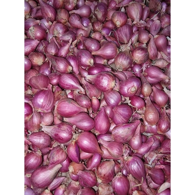 

Bawang merah ukuran Campur/Bawang merah murah/Bawang merah berkualitas/Bawang merah kering