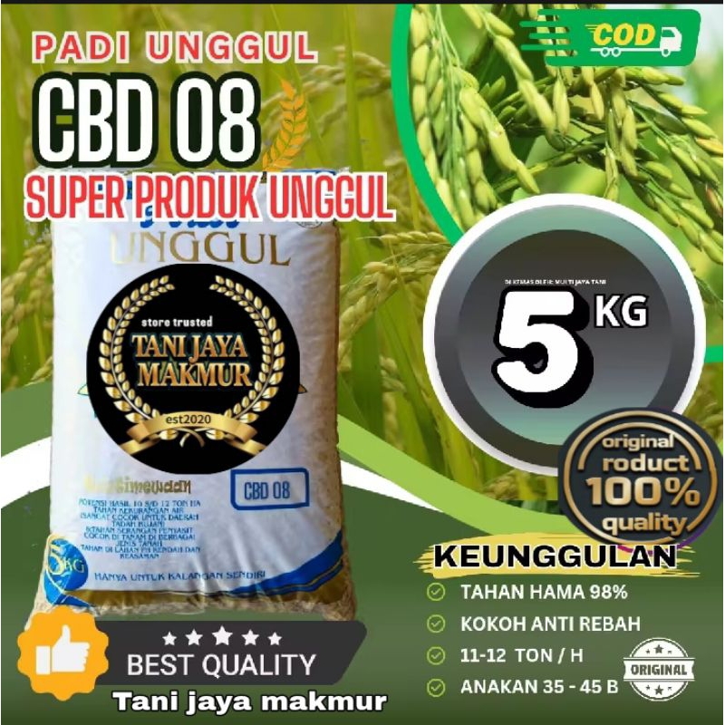 Benih padi unggul CBD 08 BERKUALITAS KEMASAN 5KG.