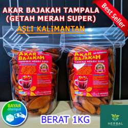 

(DIJAMIN ASLI KALIMANTAN) Akar Kayu Bajakah Kalalawit Merah Premium 1KG