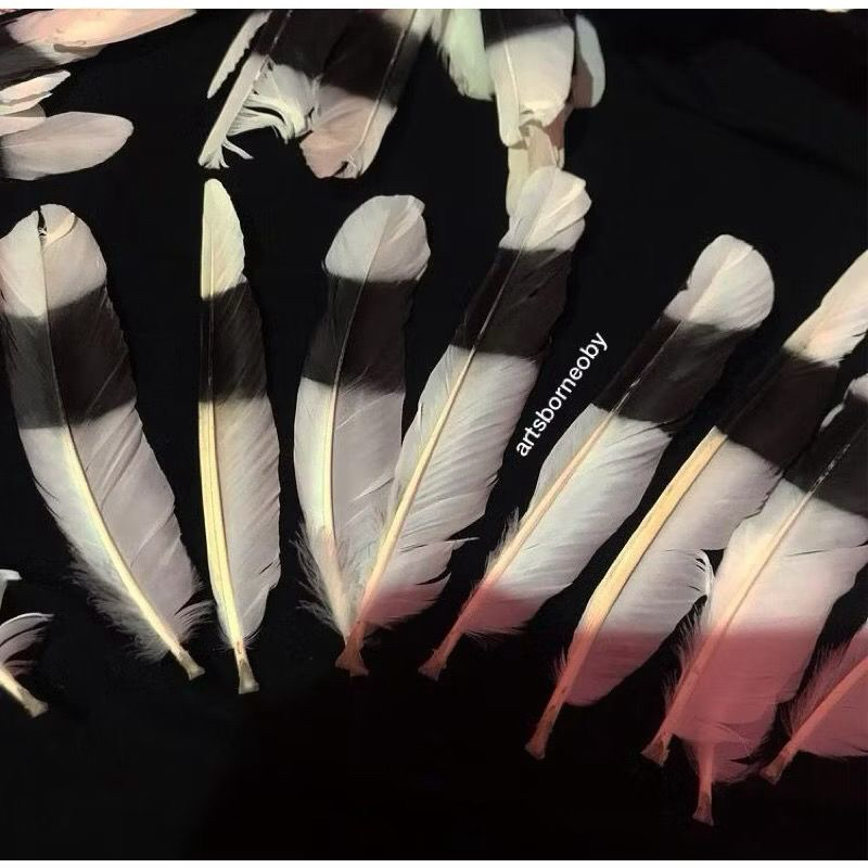 Bulu Ornamen Aksesoris Topi Dayak