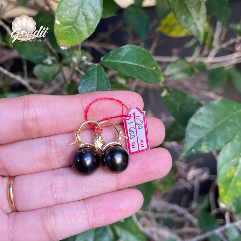 Anting Mutiara Laut Hitam Bersertifikat