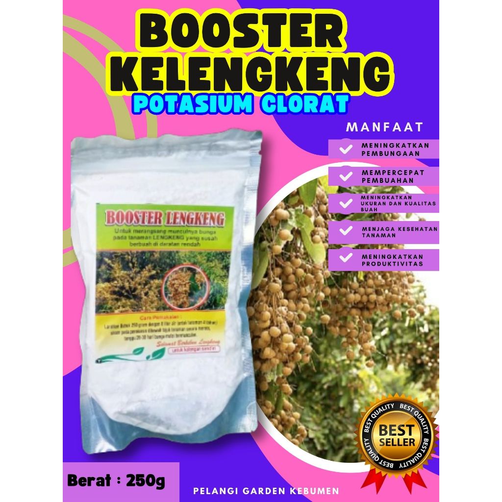 DIJAMIN ASLI  Boster Kelengkeng Puangray, Boster Kelengkeng Puangphet, Boster Kelengkeng Pingpong Ca