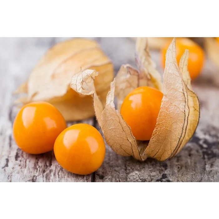

Buah Ciplukan - Cecendet - Goldenbery Fresh 100gr