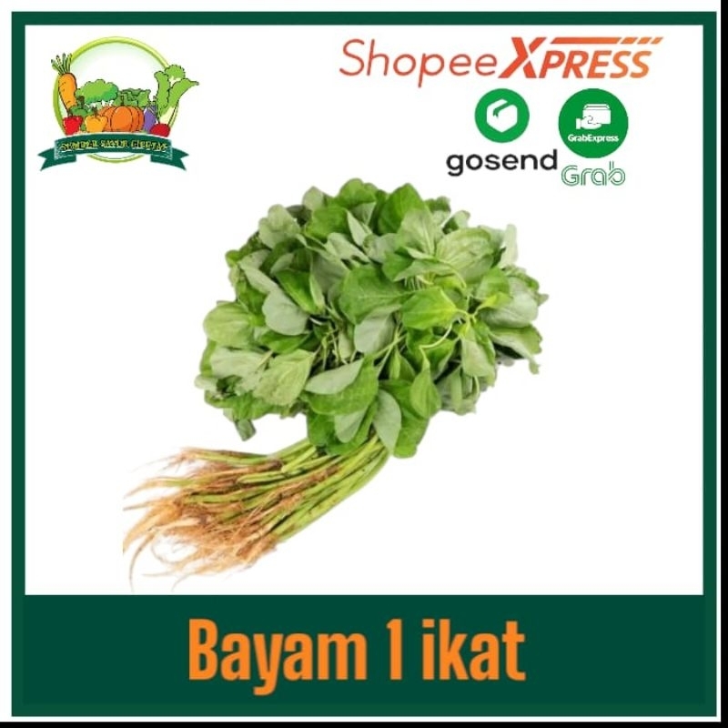 

Bayam hijau 1 ikat