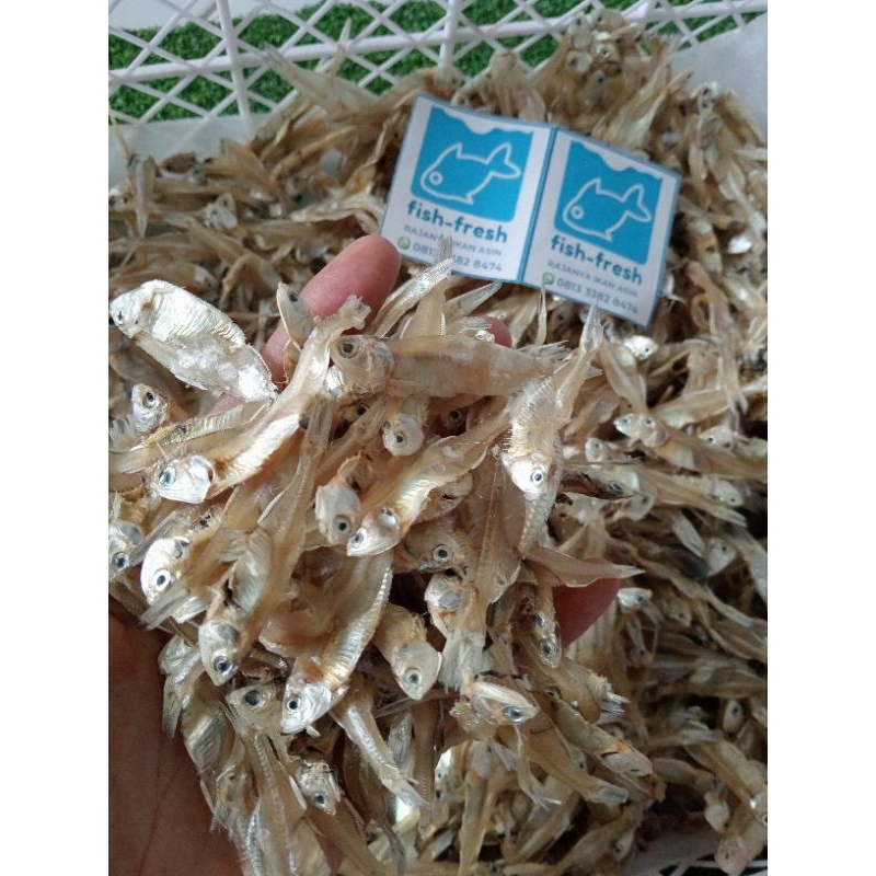 

ikan asin Teri Tawar