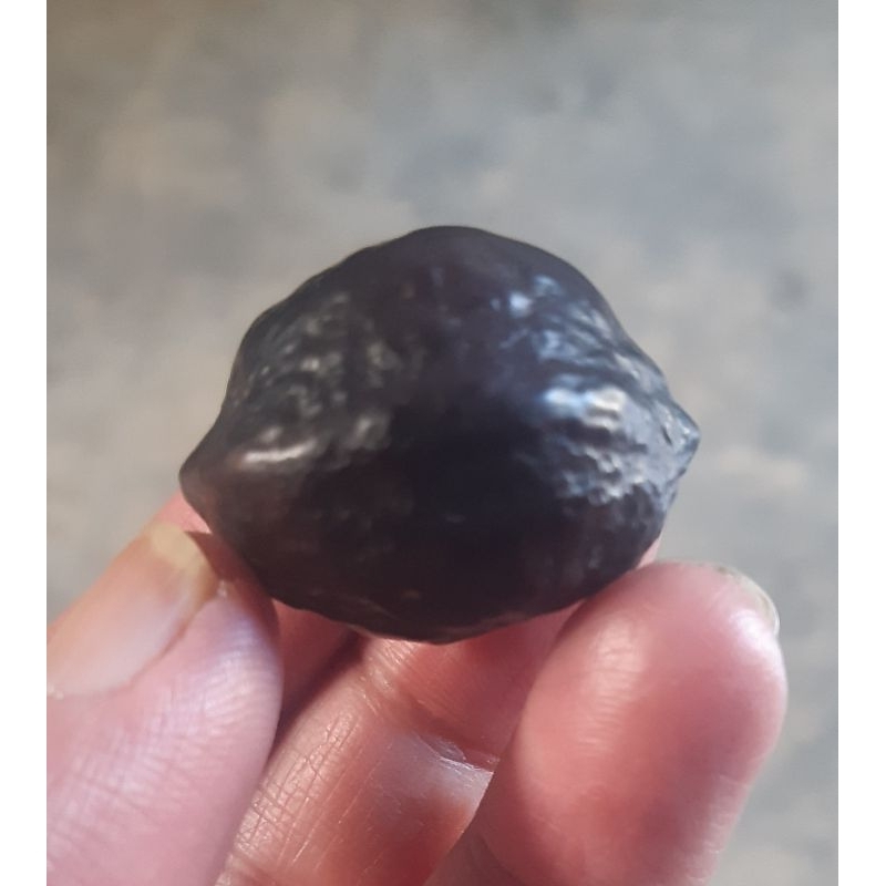 Kemiri muncang Adu Yanti Lilis ori matang