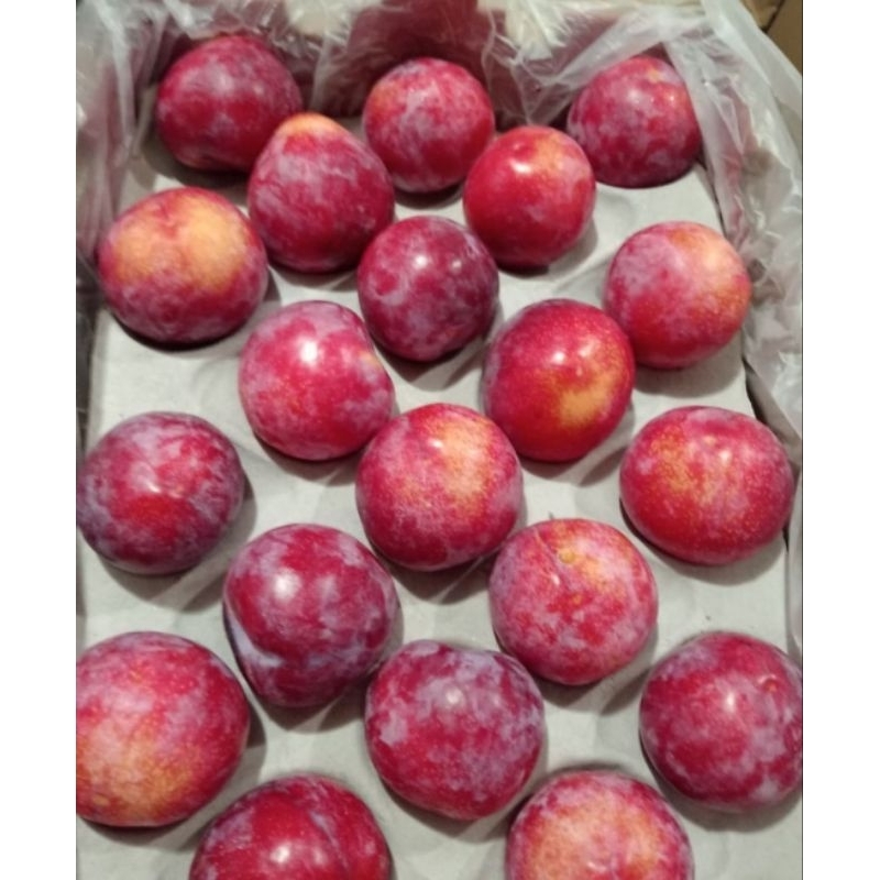 

Plum Red Import Afrika Fresh 1 Kg
