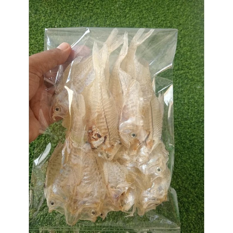 

ikan asin putri Ayu Tawar