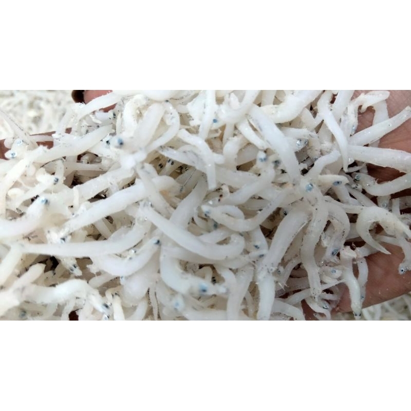

ikan teri nasi medan putih kering asin