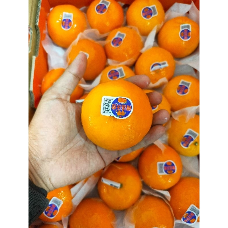 

Jeruk Wogan Premium Segar Manis Berkualitas Termurah Terbaik 1Kg Cibinong