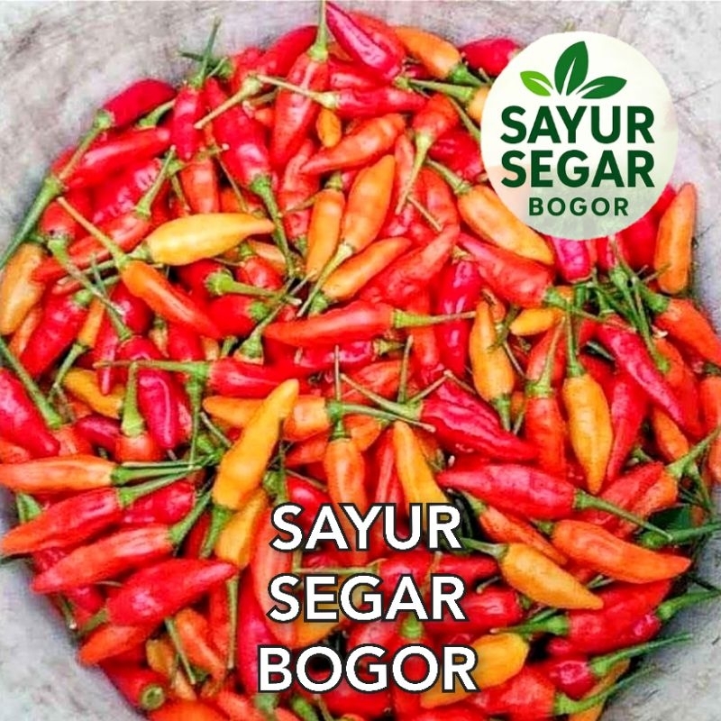 

Cabe/ Cabai Rawit Merah 500 gr