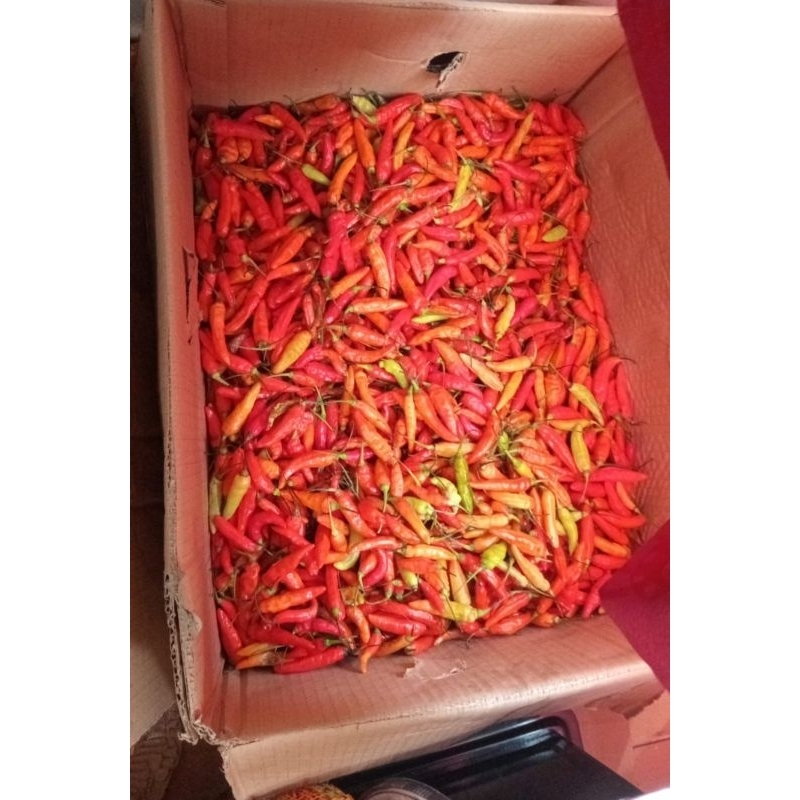 

Cabe/Cabai Rawit Fresh 500 gr