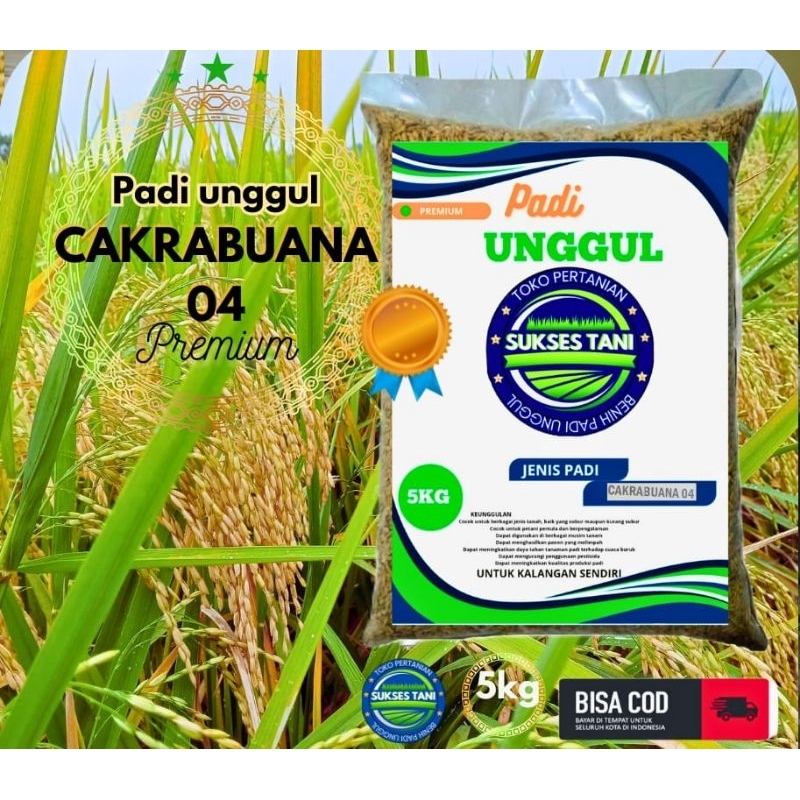 BENIH PADI UNGGUL BERKUALITAS CAKRABUANA KEMASAN 5KG