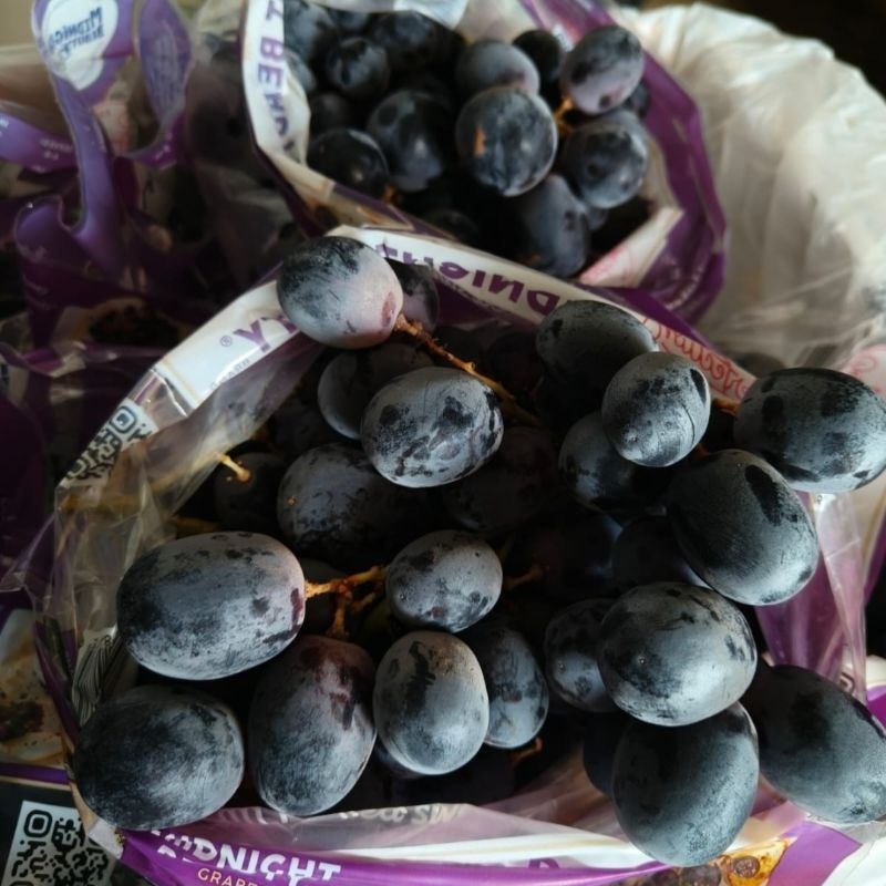 

Anggur Adora Black Seedless Fresh Australia