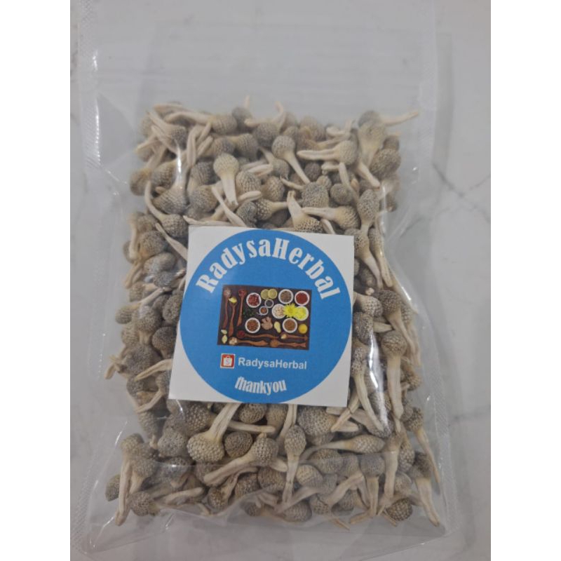 HARGA PROMO JAMU MPOT AYAM PUTIH /ALBINO JAMU EMPOT MADURA 100GR