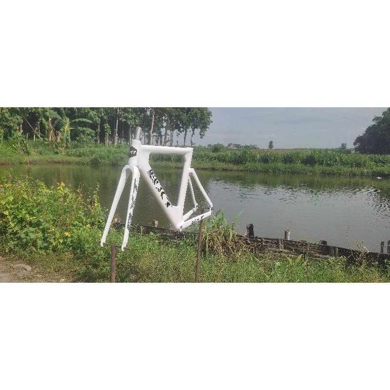 frame fork fixie BXT custom steel