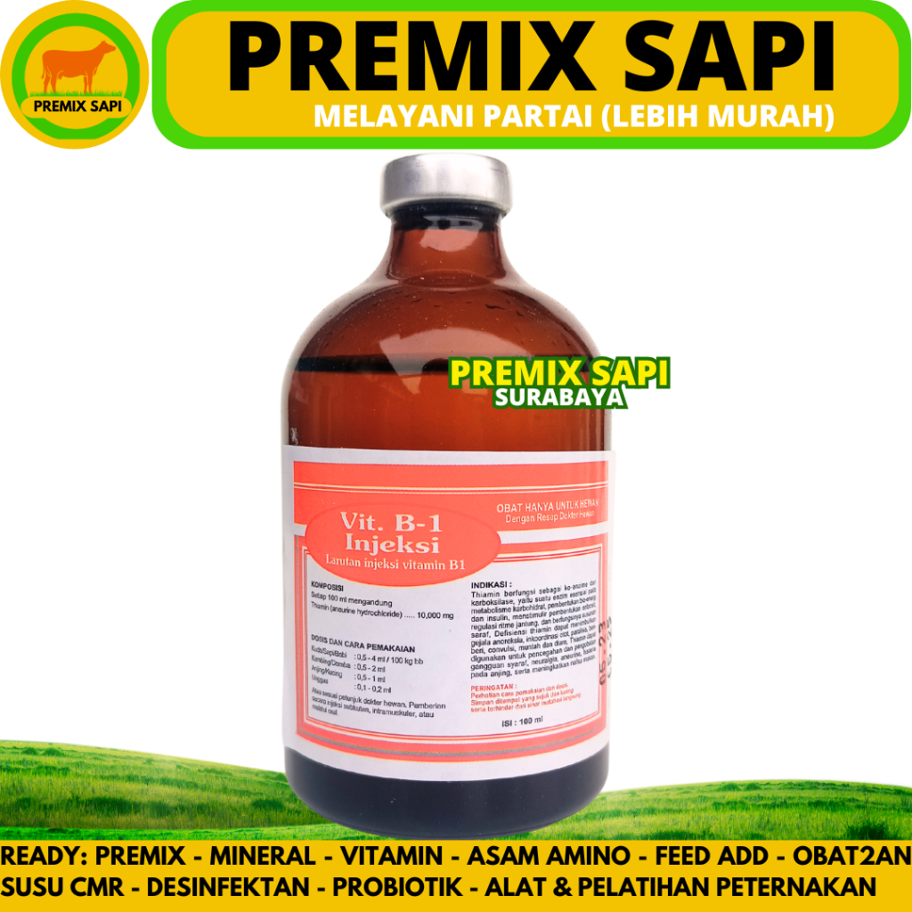 VITAMIN B1 INJEKSI 100ML (OREN) - Obat Syaraf Hewan - Obat Lumpuh Hewan