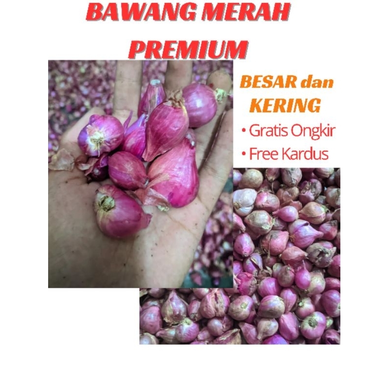 

Bawang Merah Super Premium Besar dan Kering