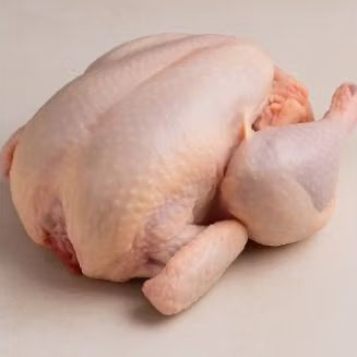 

Ayam Potong Fresh