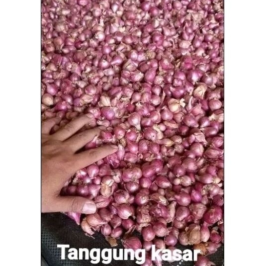 

Bawang merah tanggung 250gr kering