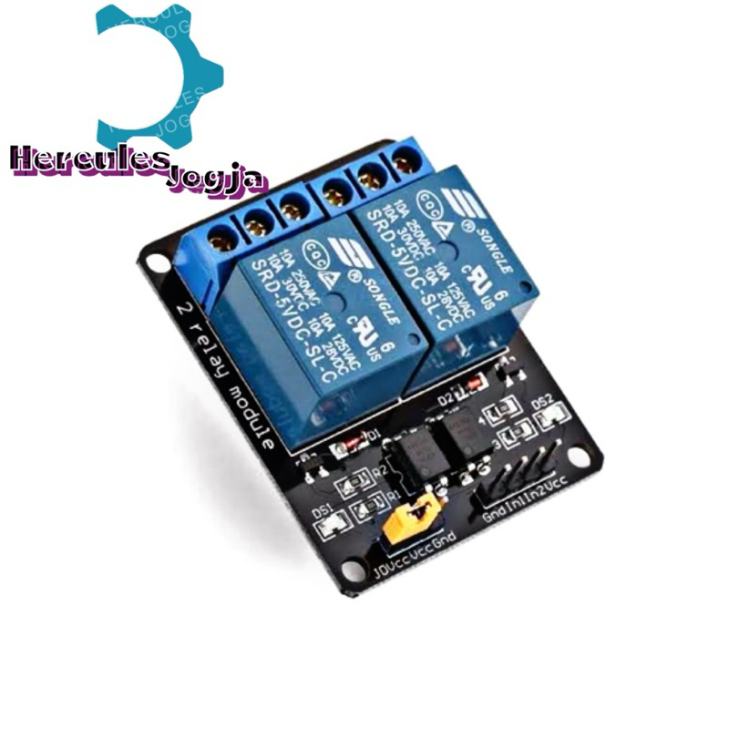 Module Relay 2 Channel Ch 5V 220V AC Modul Optocoupler