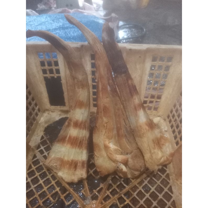 

ikan pari/PE panggangan/asap