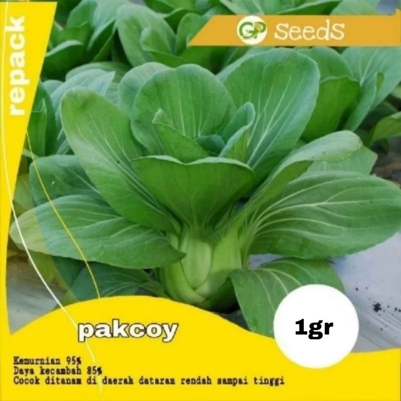 Benih sawi pakcoy / sawi daging  benih sayuran  bibit sayuran  benih tanaman  benih hidroponik