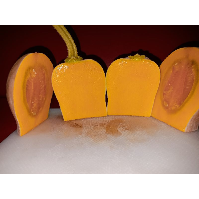 

LABU MADU BIG LABU BOTOL