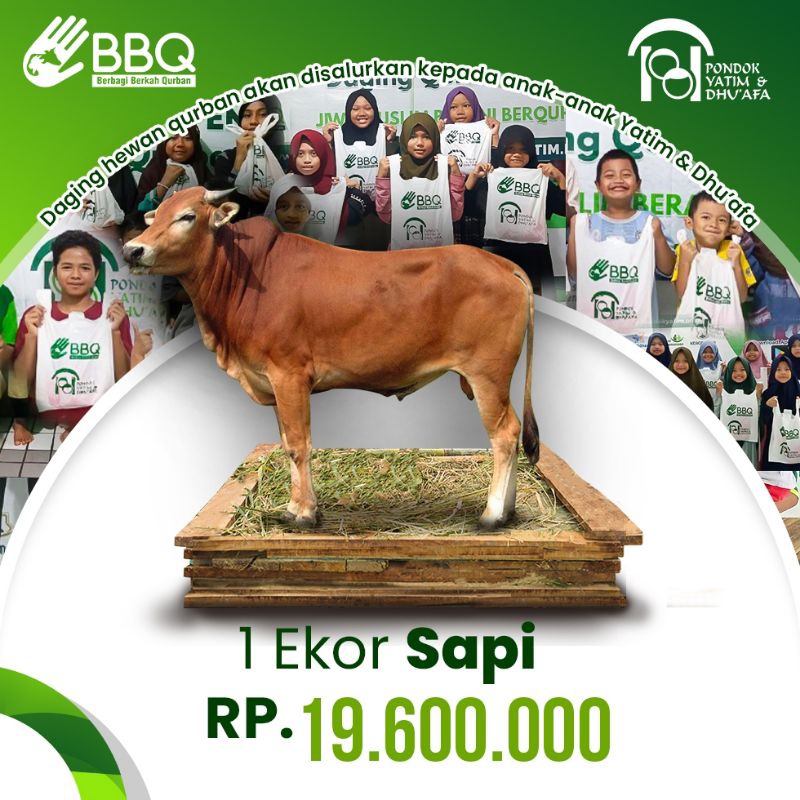 

Qurban 1 Ekor Sapi Pondok Yatim & Dhu'afa