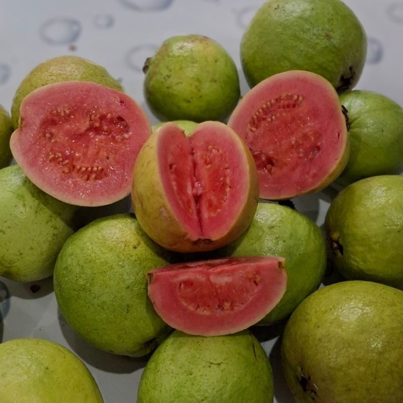 

Jambu biji merah fresh 1kg