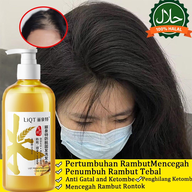 Sampo penumbuh rambut cepat, sampo jahe 500ml, sampo penumbuh rambut, pengontrol minyak, anti rambut