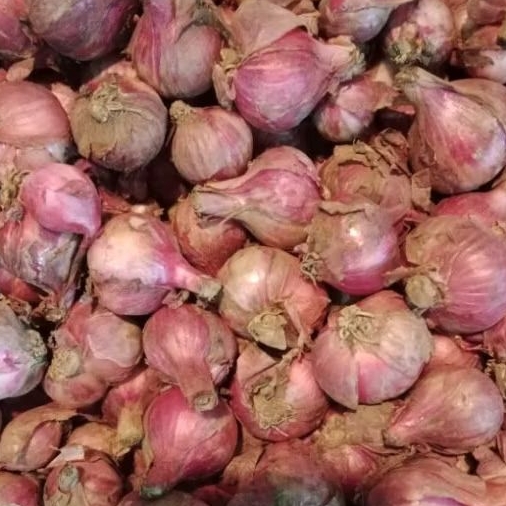 

Bawang merah Murah 500gr