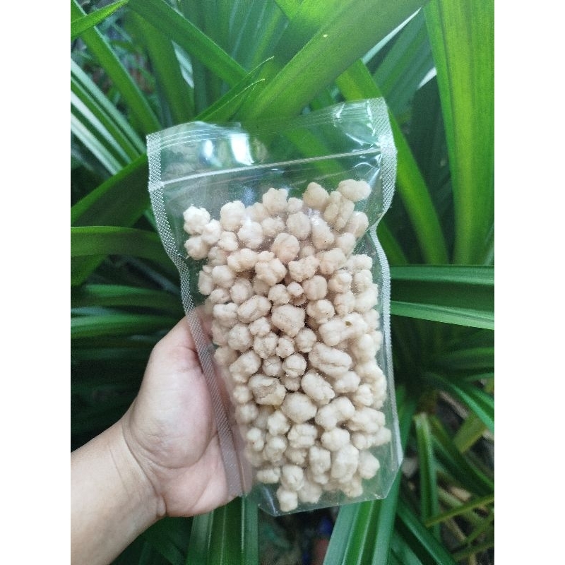 

KACANG KORO