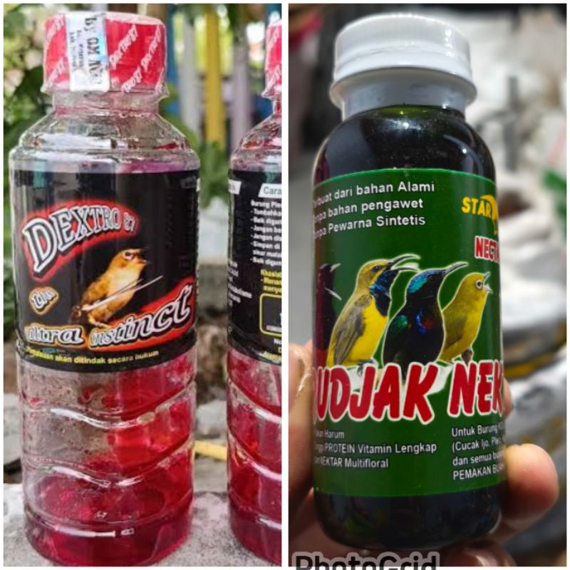 RUDJAK NEKTAR DAN DEXTRO 76 PAKAN BURUNG NECTAR KOLIBRI SOGON KONIN