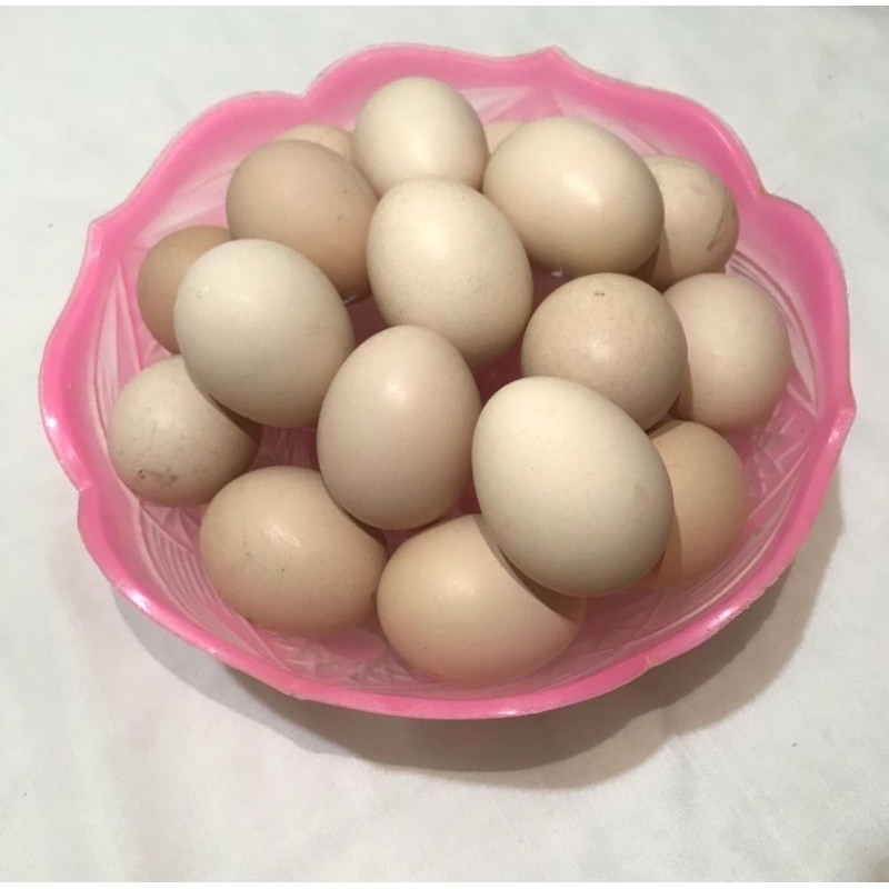 

[READY STOCK] Telur Ayam Kampung Kuning Butiran Minimal 10 Butir