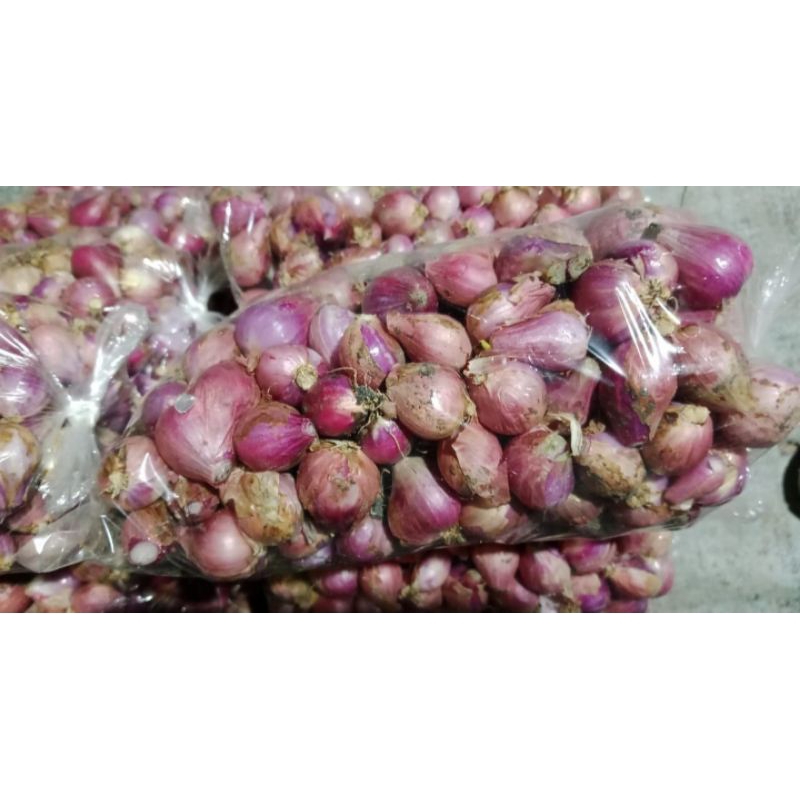 

Bawang Merah Tanggung 1 kg