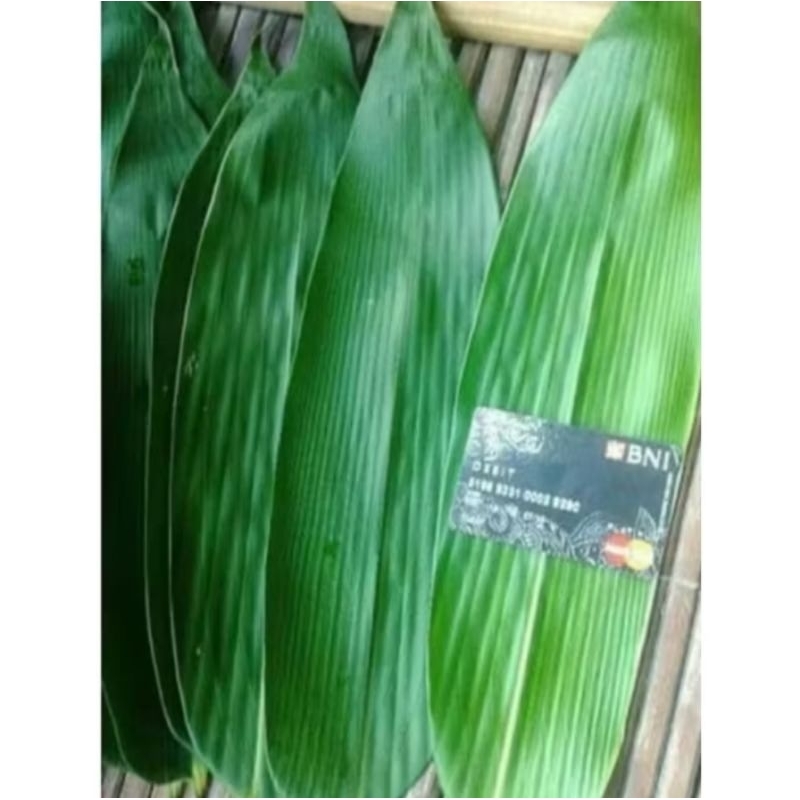 

1 kg /1000 gram daun bambu fresh segar Ter murah terlaris bungkus bacang bakcang backang kicang siap ptik