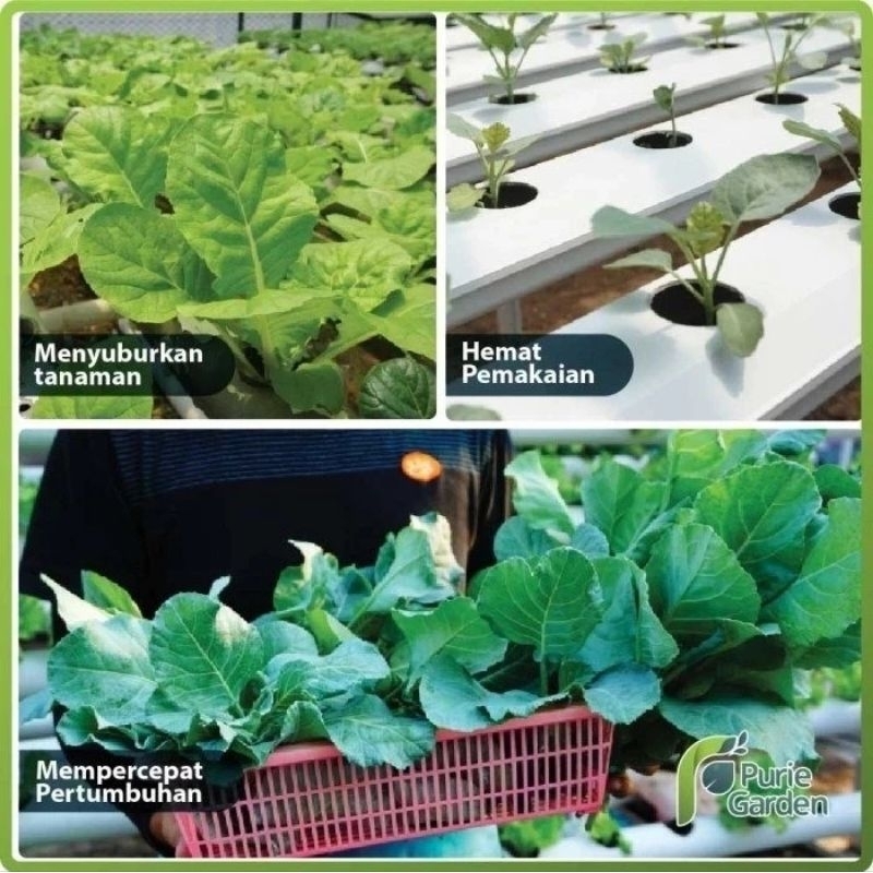 Pupuk Nutrisi AB Mix Sayuran Buah Cabe Bunga Cair 250 ML