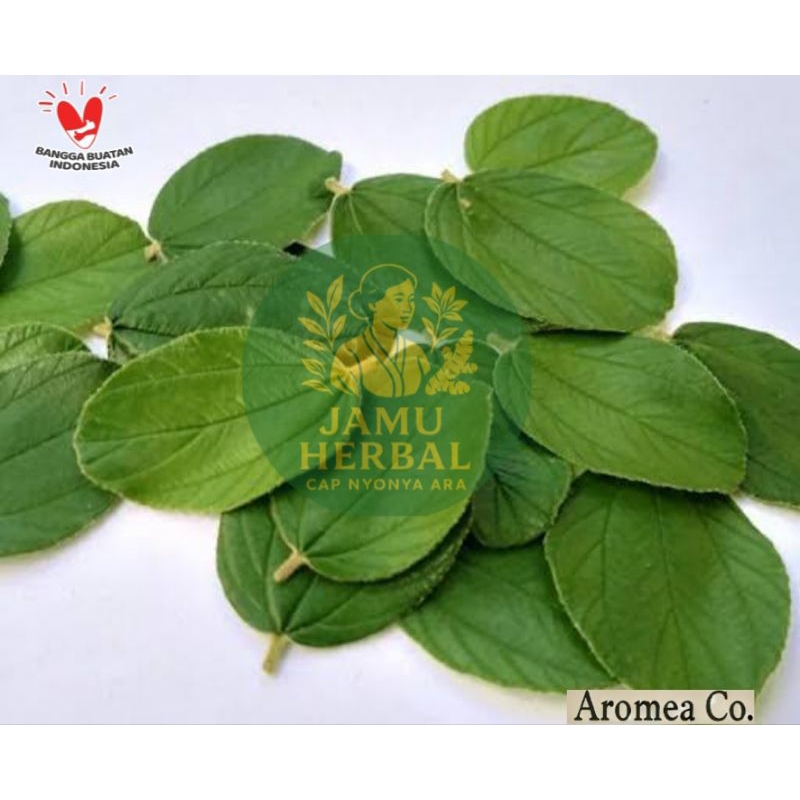 

TERMURAH | Daun Bidara arab segar asli (100 lembar)