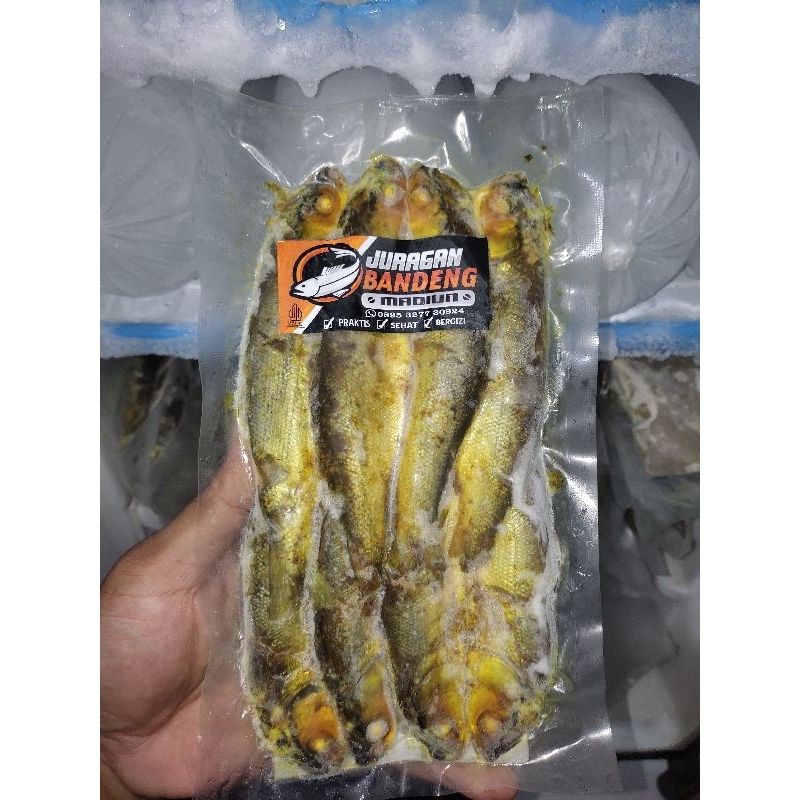 

Bandeng presto duri lunak isi 8, tinggal goreng praktis, sudah vacuum sealer isi 8 BAST