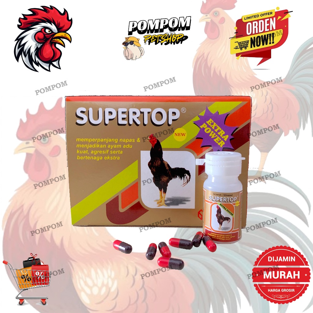 supertop ayam