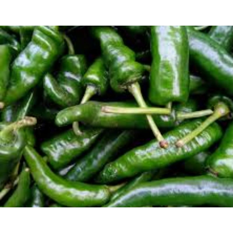 

cabe tanjung hijau 100 gram