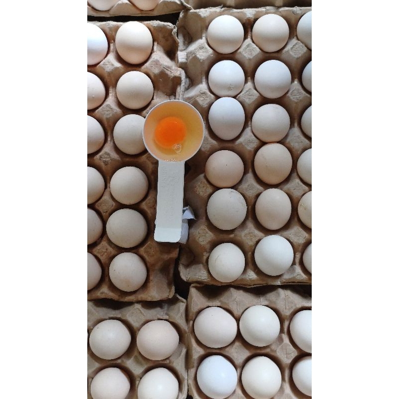 

Telur Ayam Kampung Omega