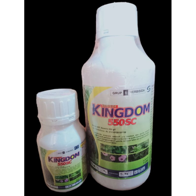 Kingdom 550 SC (Herbisida)