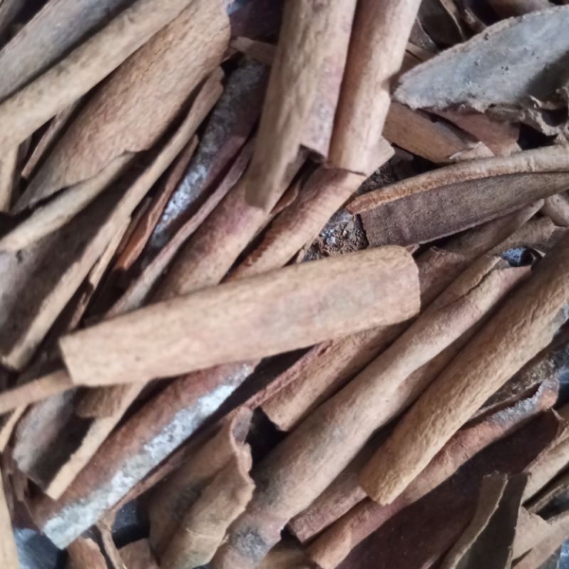 

KAYU MANIS RENTENGAN