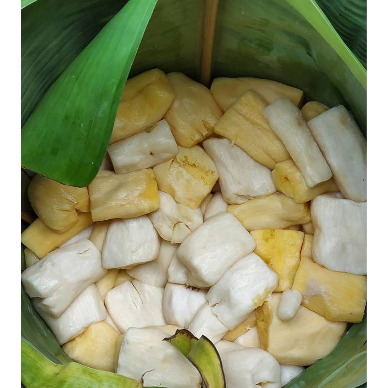 

TAPE SINGKONG MANIS LEGIT 1kg