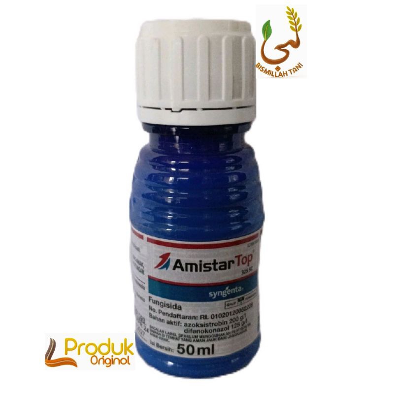 AMISTARTOP 325 SC